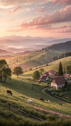 horses graze in a green pasture at sunset with the sun setting behind mountains and houses