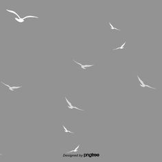 a flock of birds flying in the sky