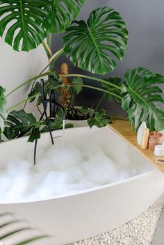 Experts share ways to take your bubble bath experience to the next level. Plus, DIY recipes for your bubble bath that use safe and simple ingredients. #bublebath #diy#bathtips #selfcare Bath Benefits, How To Make Bubble Bath Diy, Diy Bubble Bath Recipe, Organic Bubble Bath Diy, Diy Natural Bubble Bath, Diy Bubble Bath Without Castile Soap, Diy Bubble Bath, Black Sea Salt, Homemade Bubbles
