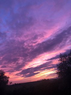 the sky is purple and pink as it sits in the distance, with trees on either side