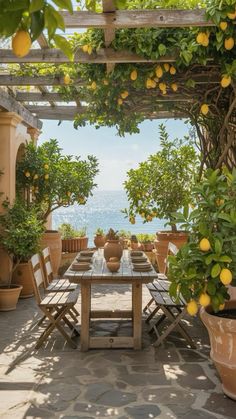 an outdoor dining area with lemon trees and potted plants on the patio, overlooking the ocean