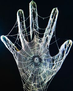 a spider web is shown in front of a black background