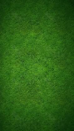 green grass texture background with space for text or image