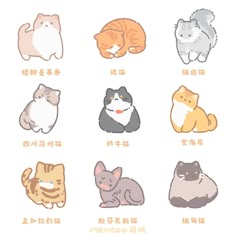 an image of cats in different colors on a white background with chinese characters below it