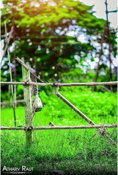 an old fence in the middle of a grassy field with trees and bushes behind it