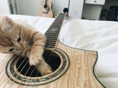 a kitten is playing with an acoustic guitar