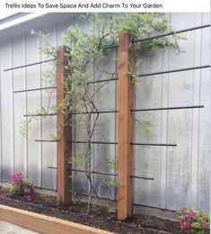 the trelliss to save space and add charm to your garden are made out of wood