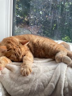 an orange cat laying on top of a white blanket next to a window sill