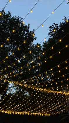 there are many lights hanging from the wires