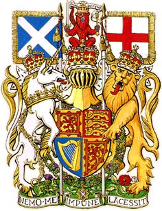 a coat of arms with two lions, one lion and the other an irish flag