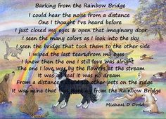 a poem written to dogs in front of a rainbow