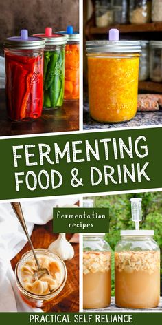 the cover of fermenting food and drink, with images of jars filled with different foods
