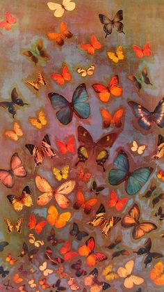 a painting with many different colored butterflies flying in the air and on top of each other