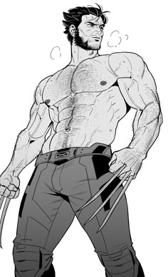 a drawing of the wolverine in black and white, with his hands on his hips