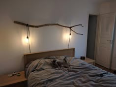 a cat laying on top of a bed next to two lights hanging from the ceiling