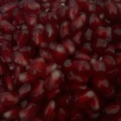 #red #redaesthetics Pretty Red Aesthetic, Deep Red Color Aesthetic, Deep Red Blood Color, Pretty Dark Red Things, Red Google Theme, Dark Pomegranate Color, Deep Red Aesthetic, Dark Red Fruit, Dark Red Pomegranate