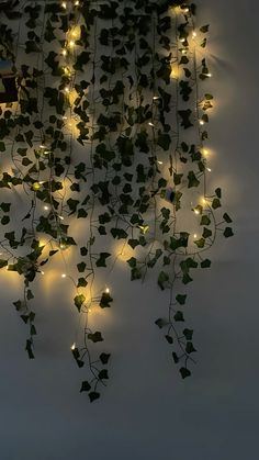 a wall with vines and lights hanging from it
