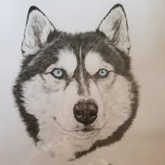a drawing of a husky dog with blue eyes