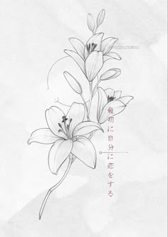 a drawing of some flowers with chinese writing