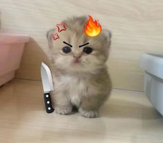 a small kitten sitting next to a knife on top of a wooden floor in front of a wall