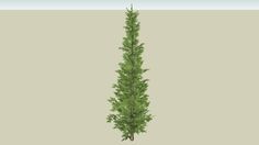 an image of a tall green tree