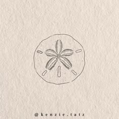 𓇼 Seashell Flash 𓇼 Something to remind you all of summer amidst this dreary weather! Let me know if you guys want a part 2 🫶🏼 UPDATE: 9th slide shell & last slide have both been claimed 🌟 * Send me a message if you’re interested! * Prices vary depending on size & placement (discounts if you claim multiple) . . . . #tattoo #cardiff #tattoocardiff #tattoostudio #wales #tattoowales #uk #uktattoo #tattooideas #tattooflash #tattoos #tat #femaletattooartist #tattooartist #artist #art #handpoke... Price Tattoo, Subtle Beach Tattoo, Small Detailed Drawings, Small Seashell Tattoos, Simple Filler Tattoos, Beach Tattoo Simple, Seashell Tattoo Ideas, Abalone Shell Tattoo, La Tattoo Ideas