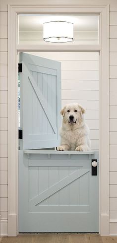 a dog sitting on top of a blue door
