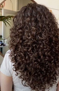 Layers On Curls, Dark Curly Brown Hair, Brown Hair Curly Hair, Rich Brown Curly Hair, Brunette Hair Curly, Brown Hair Curls, Dark Chocolate Curly Hair, Different Hair Textures, Curly Diffused Hair