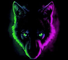 a black wolf with green eyes in the dark