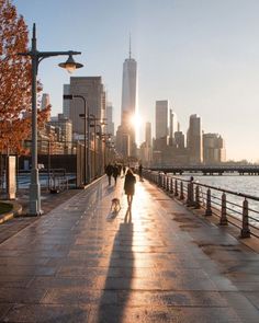 two people walking their dog on a sidewalk near the water in front of a city skyline