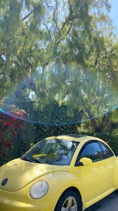 a yellow volkswagen beetle parked in front of a tree and bushes with sun shining through the leaves