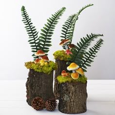 two wooden logs with mushrooms and ferns in them