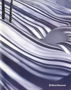 a book cover with an image of snow and trees in the background, which are shadows
