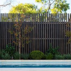 an empty swimming pool in front of a wooden fence with trees and bushes around it