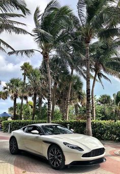 a white car parked in front of palm trees