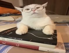 a white cat wearing glasses sitting on top of a book with its paw resting on it