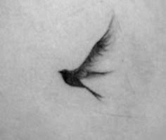 a black and white photo of a bird flying in the sky