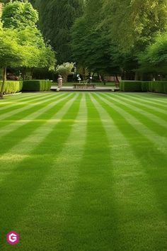 a green lawn with trees in the background