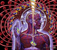 Alex Grey Quotes, Metaphysics Memes, Higher Being Meme, Alex Gray Art, Third Eye Blind Meme, Tool Artwork, Visionary Meme, Third Eye Opening Meme, Spiritual Ascension Meme