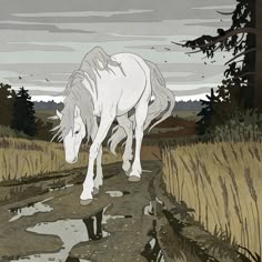 a white horse standing on top of a dirt road next to tall grass and trees
