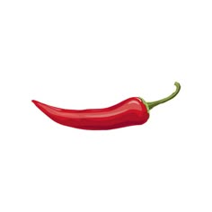 a red pepper on a white background