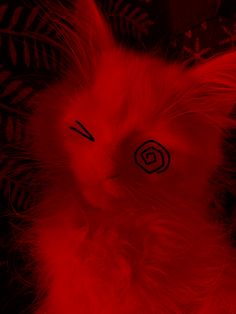 a red cat with black eyeliners on it's face and feathers around its neck