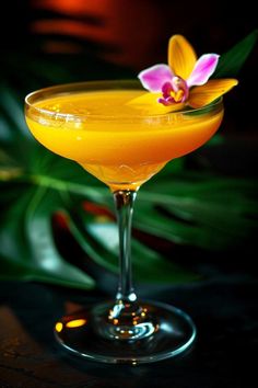 an orange cocktail with a flower on the rim