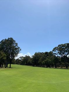 a green golf course with trees in the background