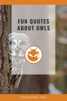 an owl sitting on top of a tree next to a sign that says fun quotes about owls