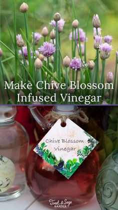 an image of some flowers in vases and bottles with tags on them that say make chive blossom infused vinegar