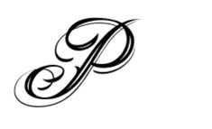 the letter p is made up of black ink