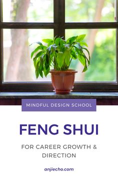 a potted plant sitting on top of a window sill in front of a window