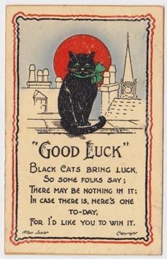 a black cat sitting on top of a building with the caption'good luck '