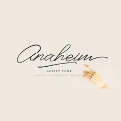 the font used for this script is handwritten